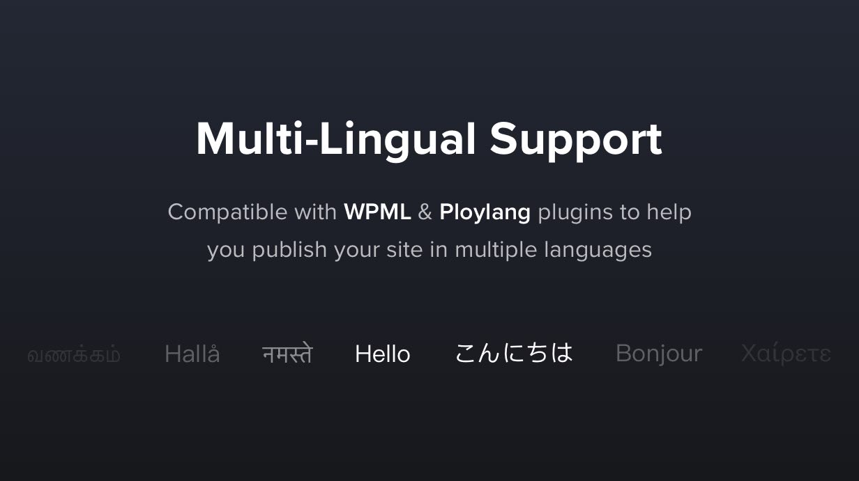 Traducible y multilingüe
