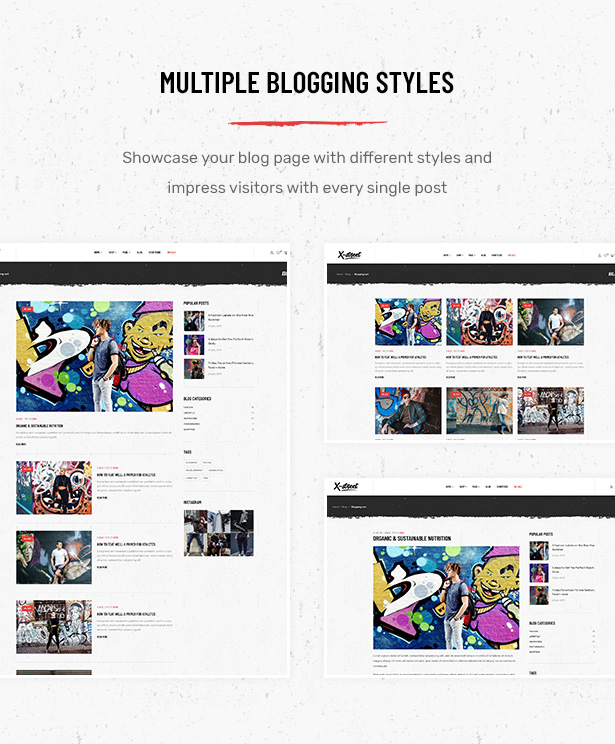 Múltiples diseños de página de blog en Striz Fashion Ecommerce WordPress Theme