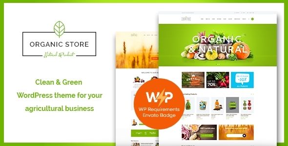 Descargar Organic Store Eco Products Shop WordPress Theme