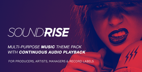 Descargar SoundRise Artists Producers and Record Labels WordPress Theme