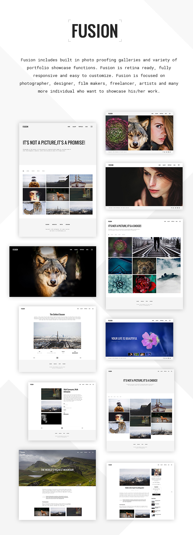 Fusion - Tema WordPress responsivo para fotografía y portafolios - 3