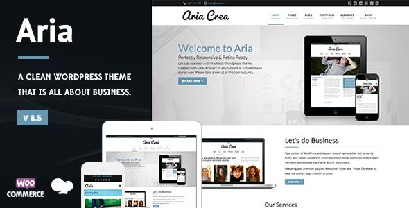 Descargar Aria Pure Business WordPress Theme