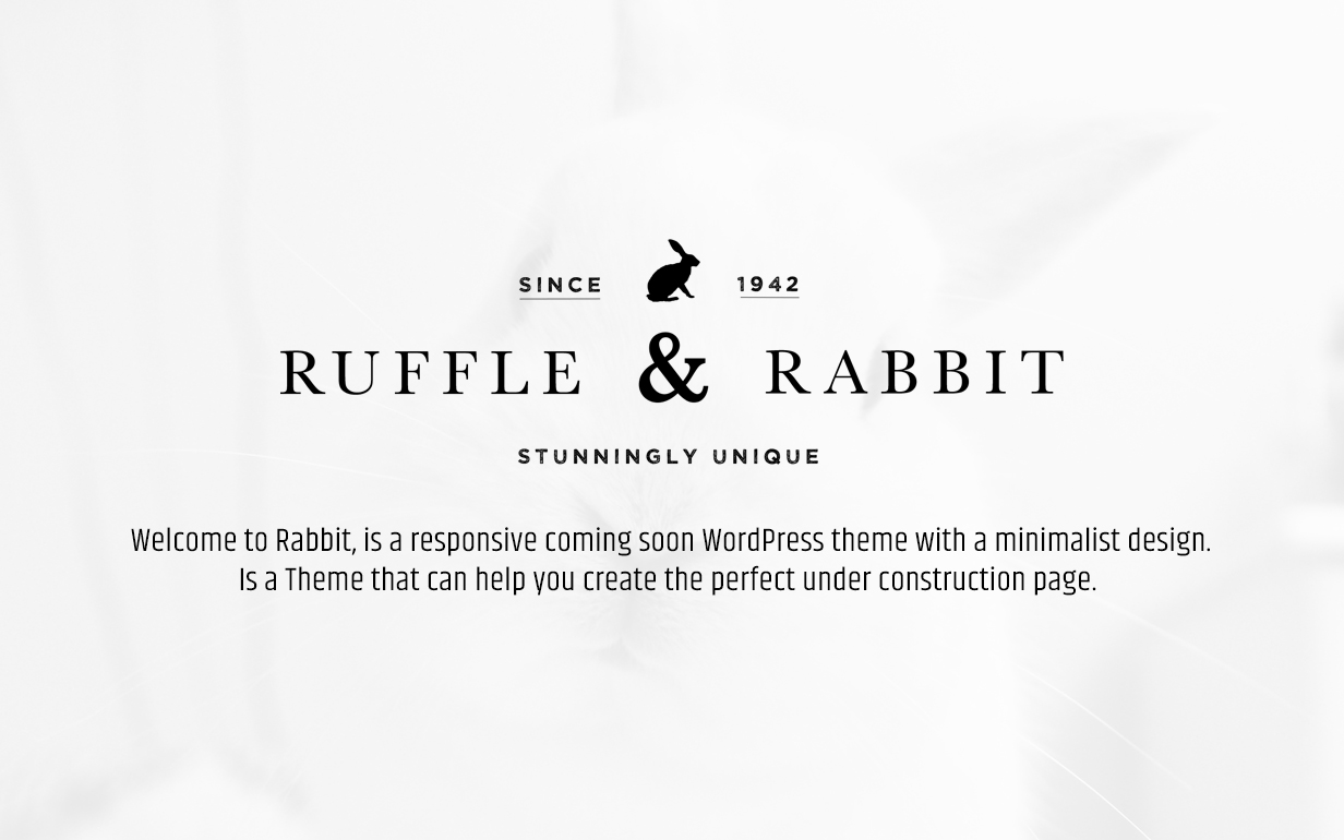 Rabbit - Tema exclusivo de WordPress próximamente - 2